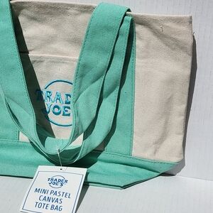 Trader Joe's Mint and Cream Canvas MINI Tote Bag NWT